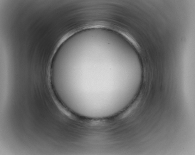 X0000114600850200910191052