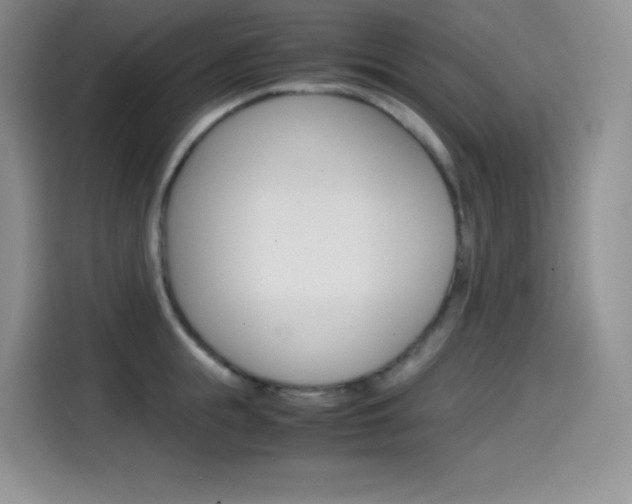 X0000114600855200910191052