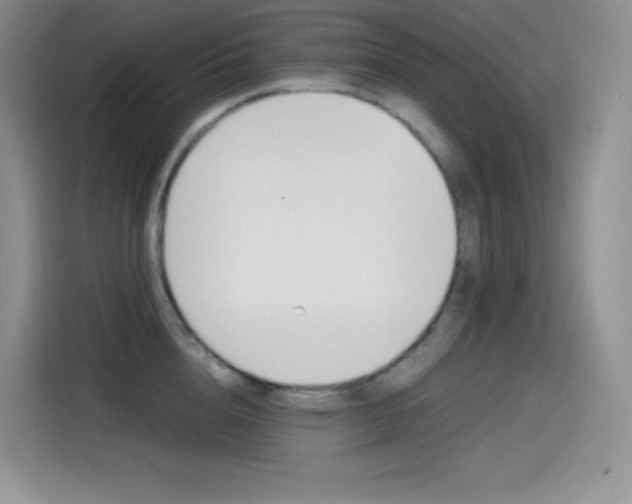 X0000114600856200910191053
