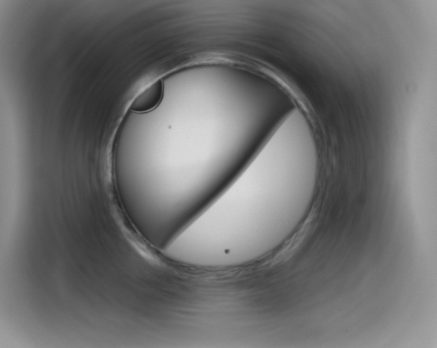 X0000114600858200910191053