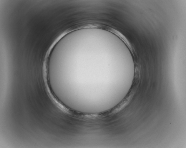 X0000114600859200910191053
