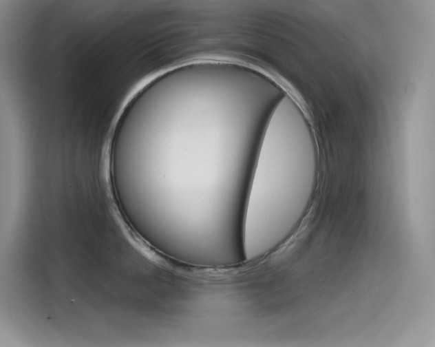 X0000114600862200910191053
