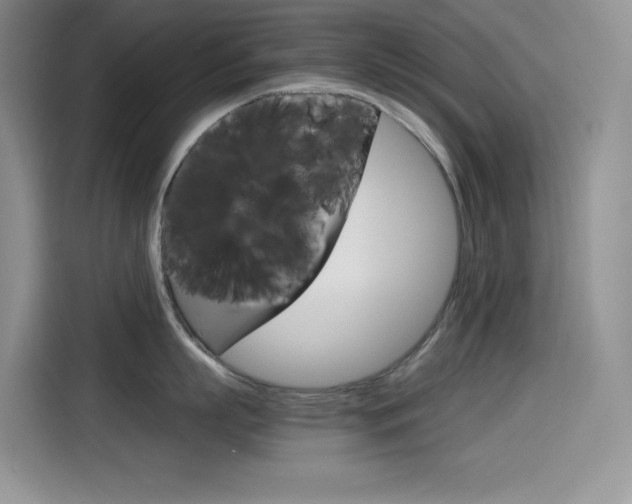 X0000114600863200910191053