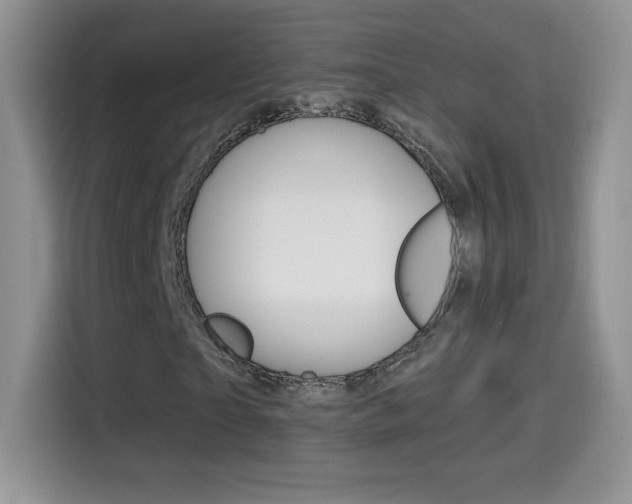 X0000114600865200910191052