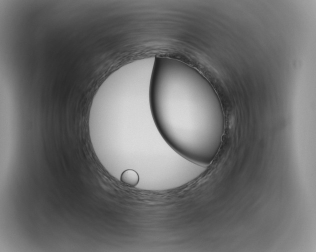 X0000114600868200910191052