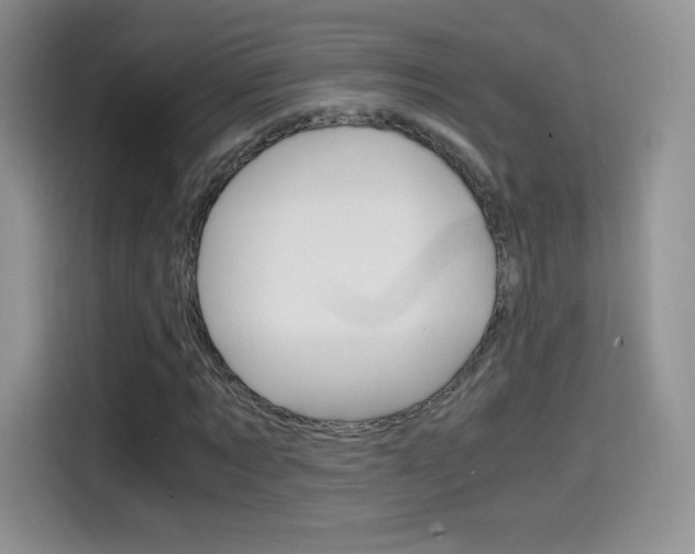 X0000114600869200910191052