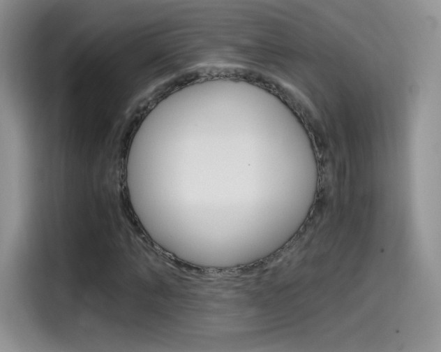 X0000114600870200910191052