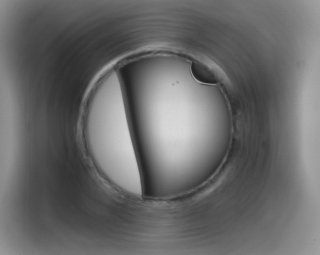 X0000114600880200910191052