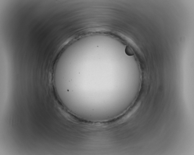 X0000114600881200910191052