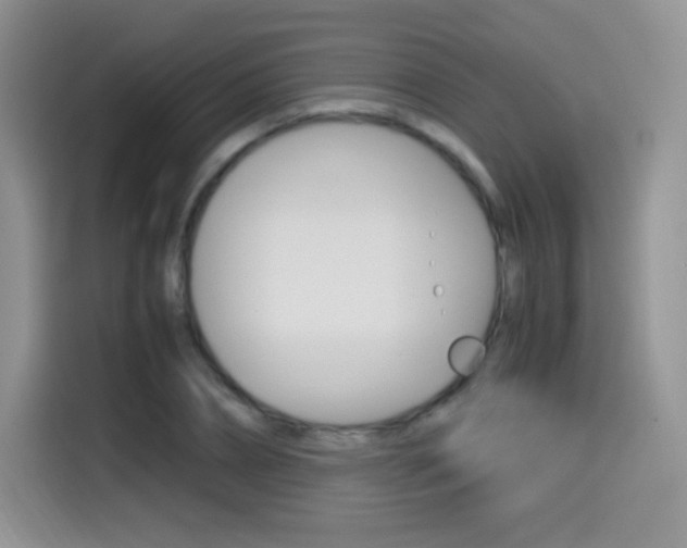 X0000114600882200910191052