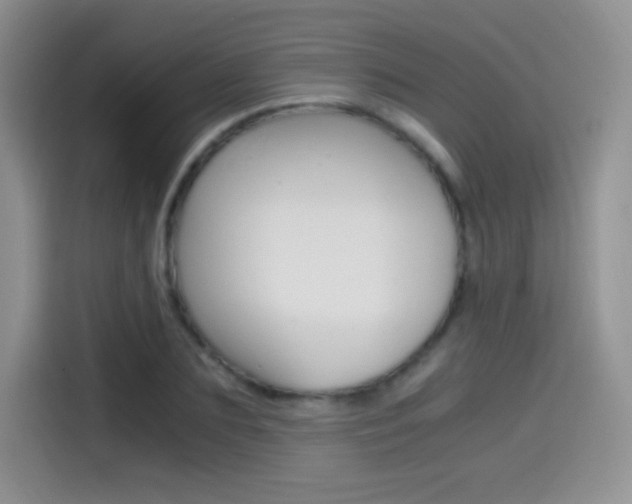 X0000114600883200910191052