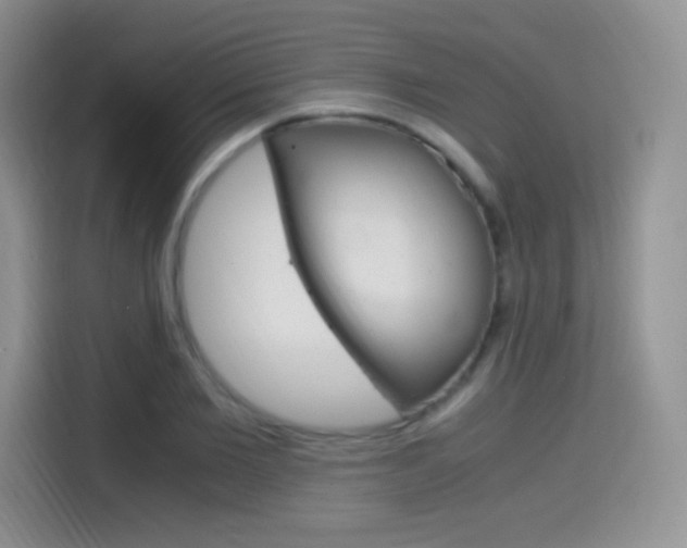 X0000114600885200910191052