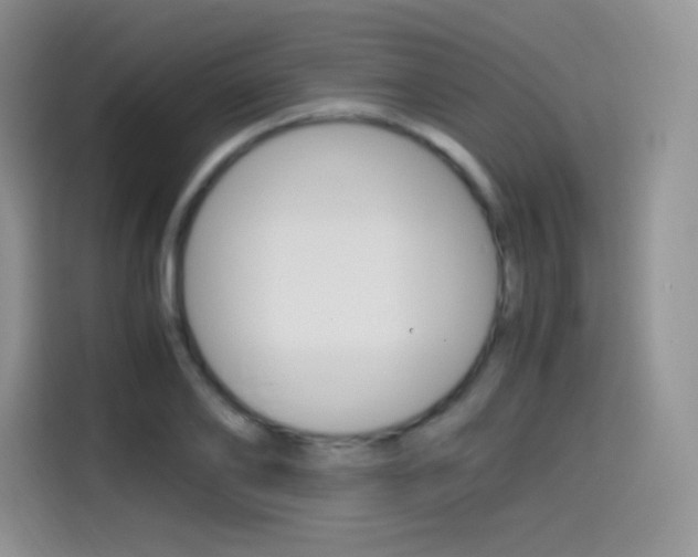 X0000114600886200910191052