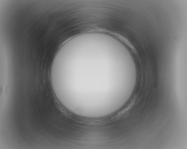 X0000114600889200910191052