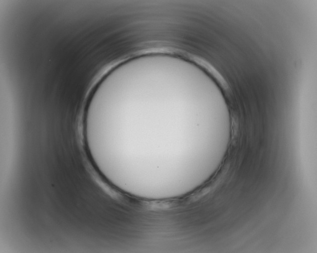 X0000114600890200910191052