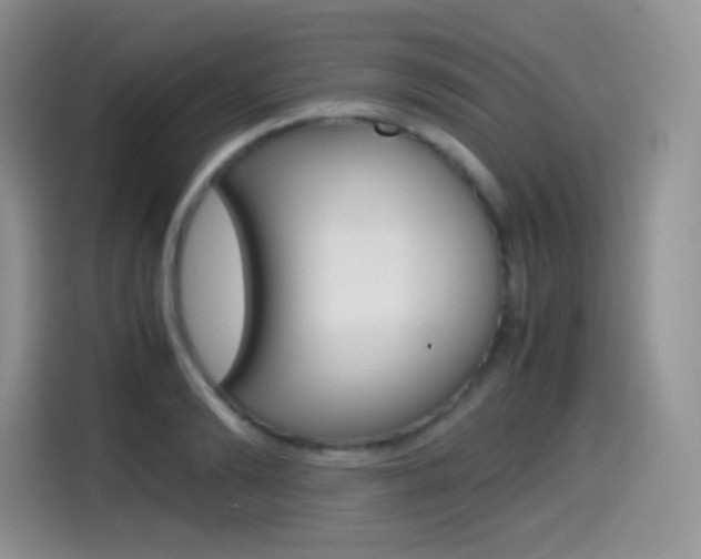 X0000114600894200910191052