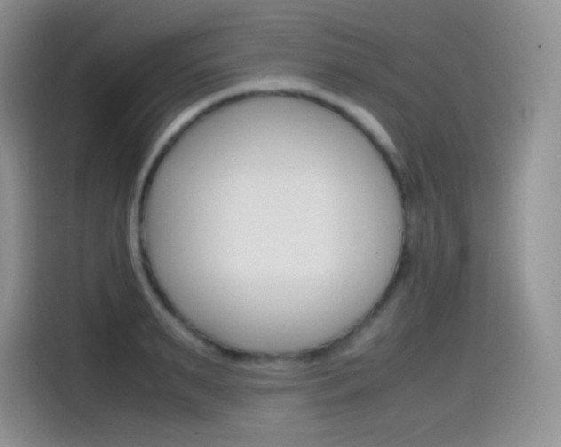 X0000114600895200910191052