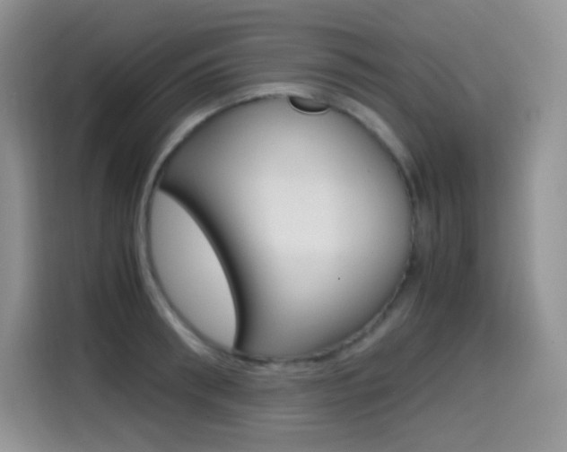 X0000114600898200910191052