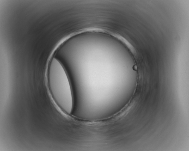 X0000114600902200910191052