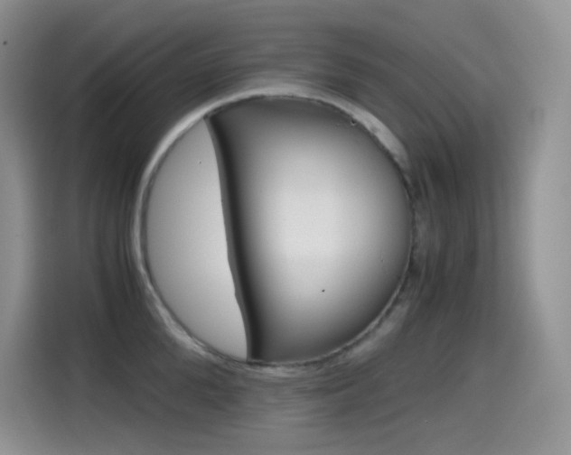 X0000114600904200910191051