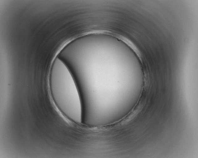 X0000114600906200910191051
