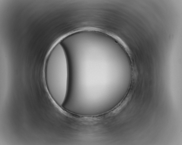 X0000114600910200910191051