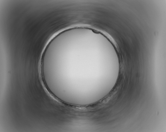 X0000114600911200910191051