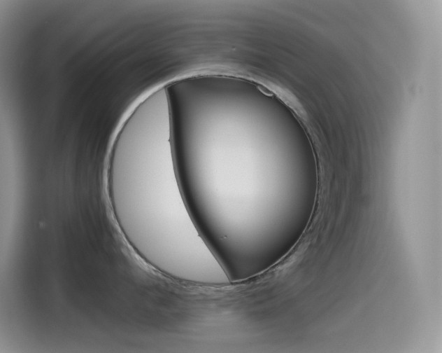 X0000114600912200910191051
