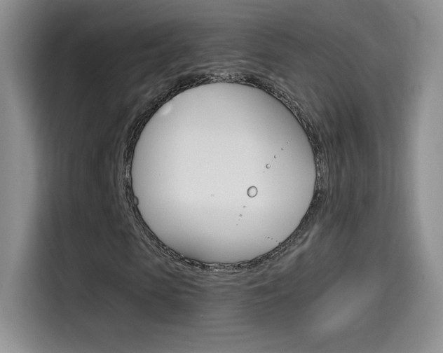 X0000114600913200910191051