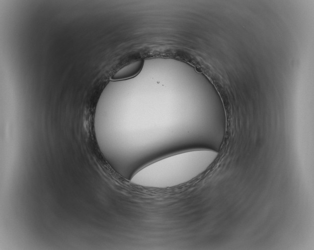 X0000114600914200910191051