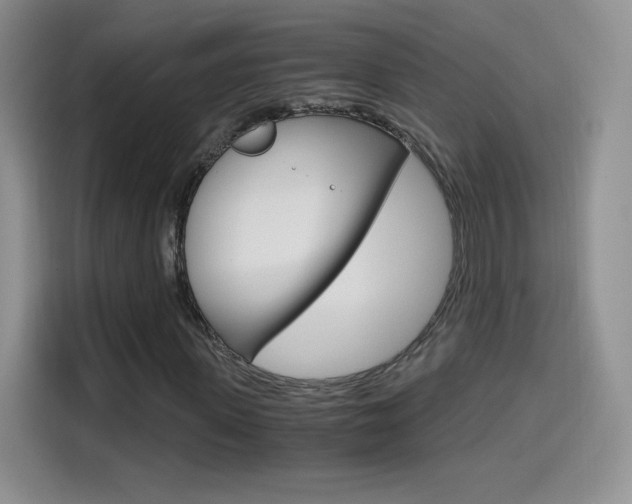X0000114600915200910191051