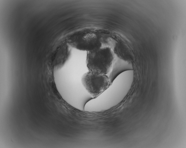X0000114600917200910191051