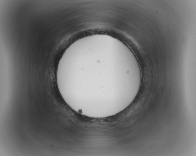 X0000114600918200910191051