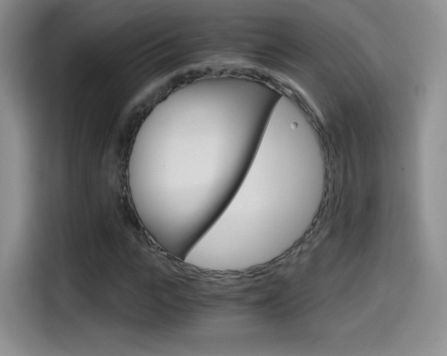 X0000114600919200910191051