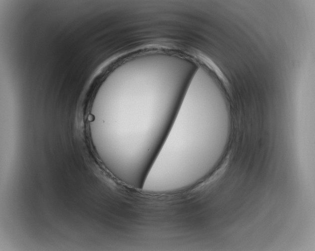 X0000114600923200910191051