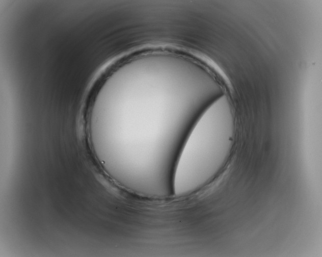 X0000114600927200910191051