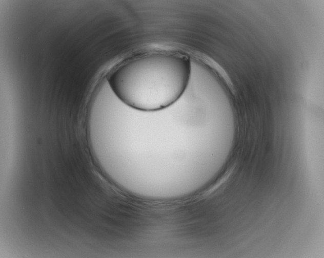 X0000114600930200910191051