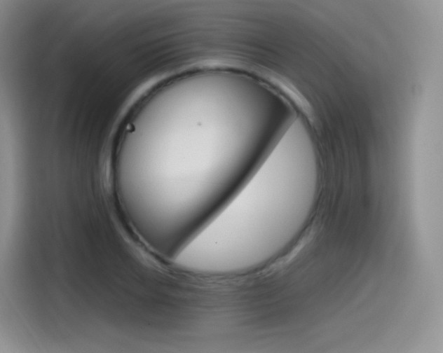 X0000114600934200910191051