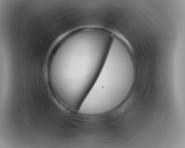 X0000114600935200910191051