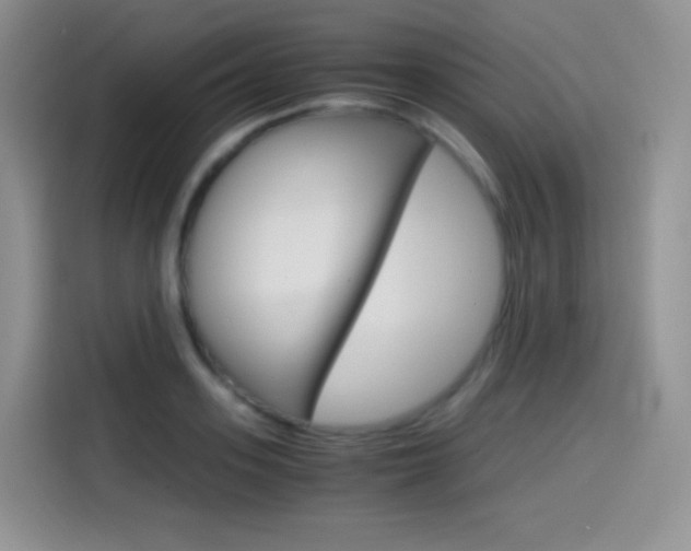 X0000114600939200910191051