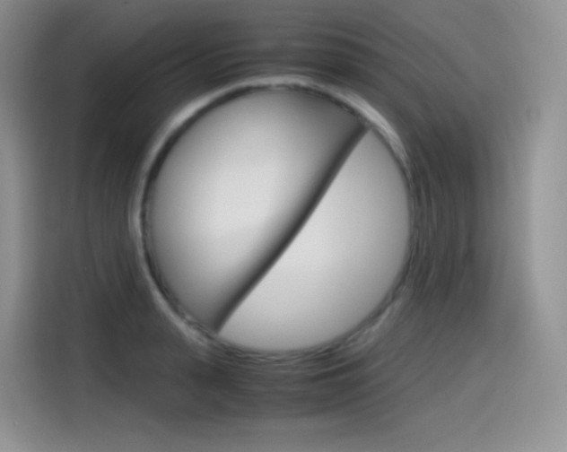 X0000114600943200910191051