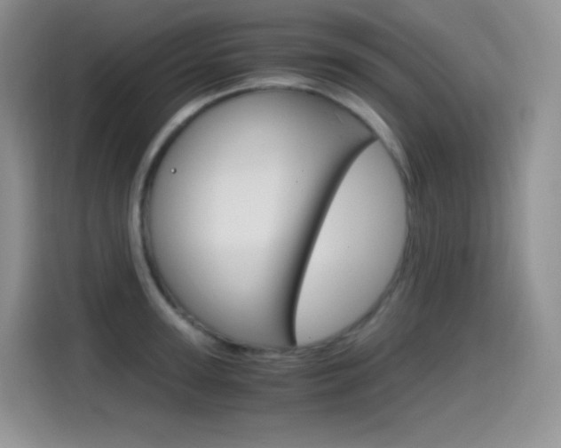 X0000114600947200910191051