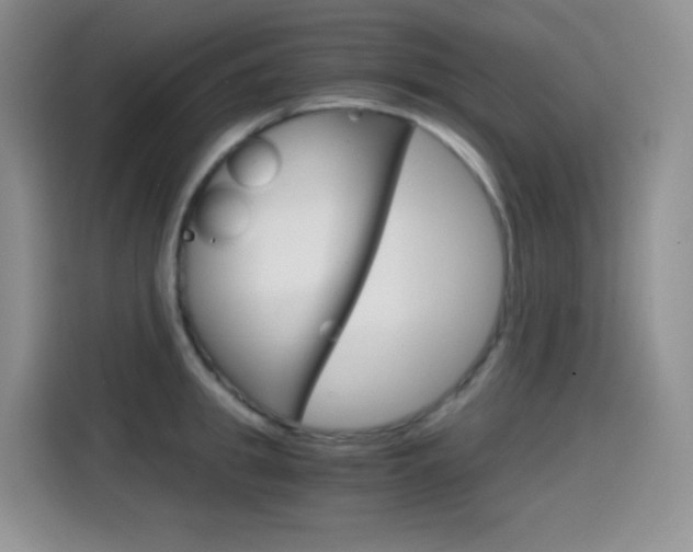 X0000114600949200910191051