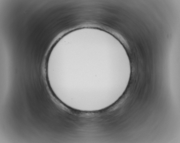 X0000114600950200910191051
