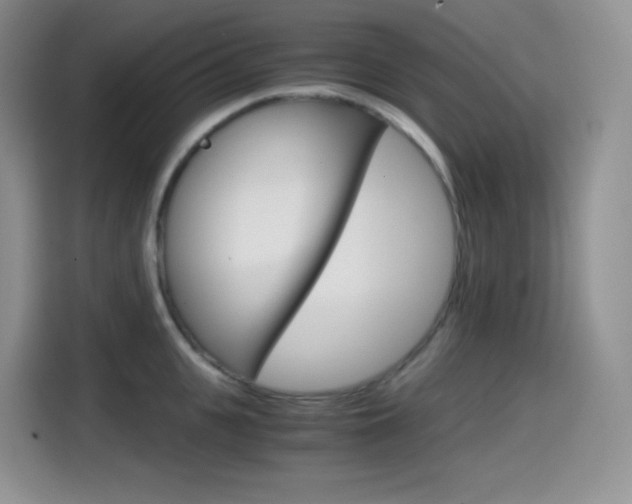 X0000114600951200910191051