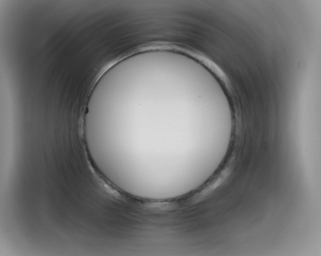 X0000114600953200910191051