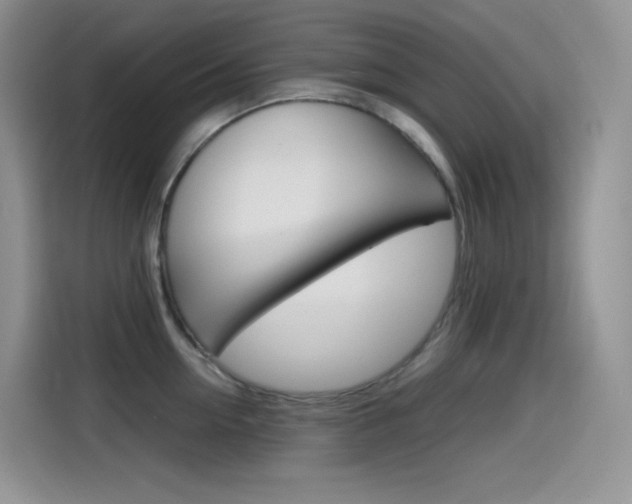 X0000114600954200910191051