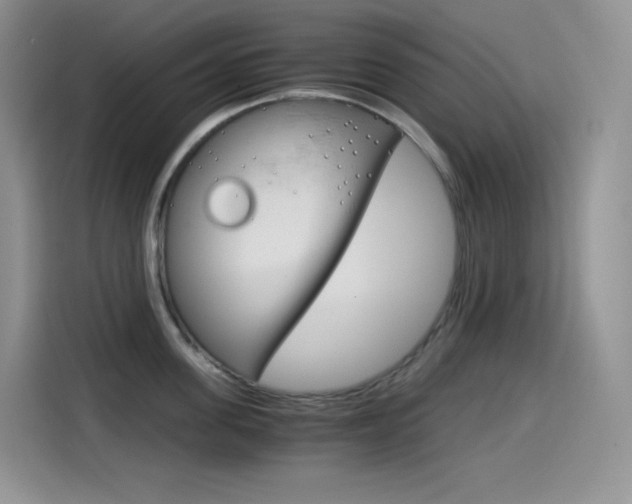X0000114600955200910191051