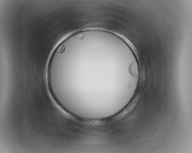 X0000114600957200910191051