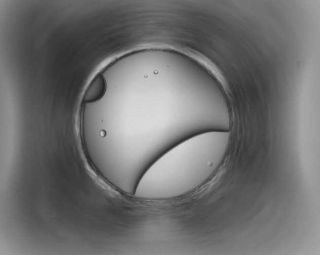 X0000114600958200910191051